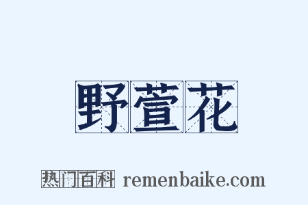 野萱花是什么意思的图片